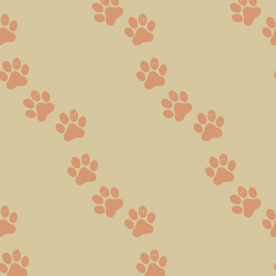 Tucker's Taps paw print pattern